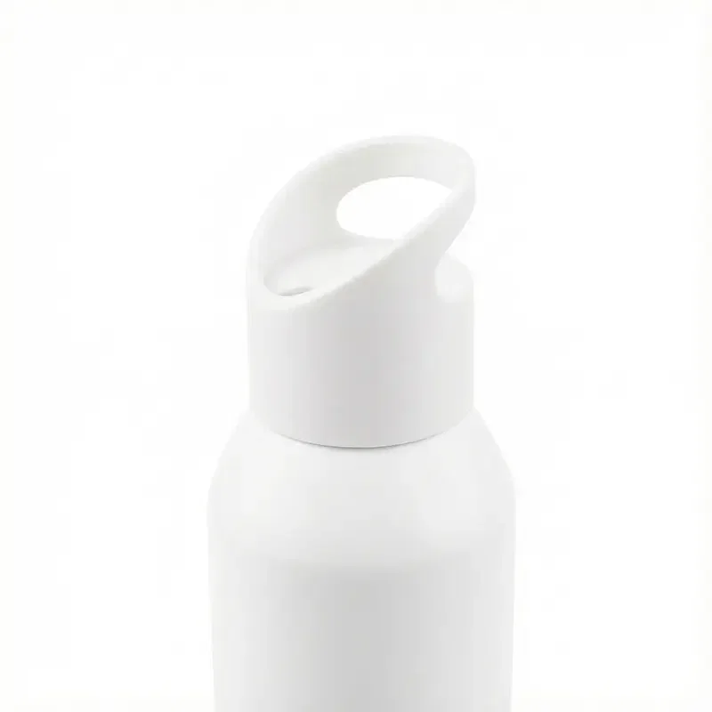 Botella Penguin 650 ml aluminio