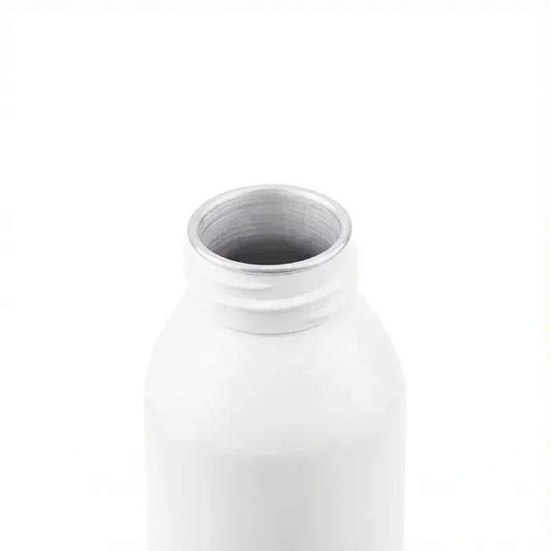 Botella Penguin 650 ml aluminio