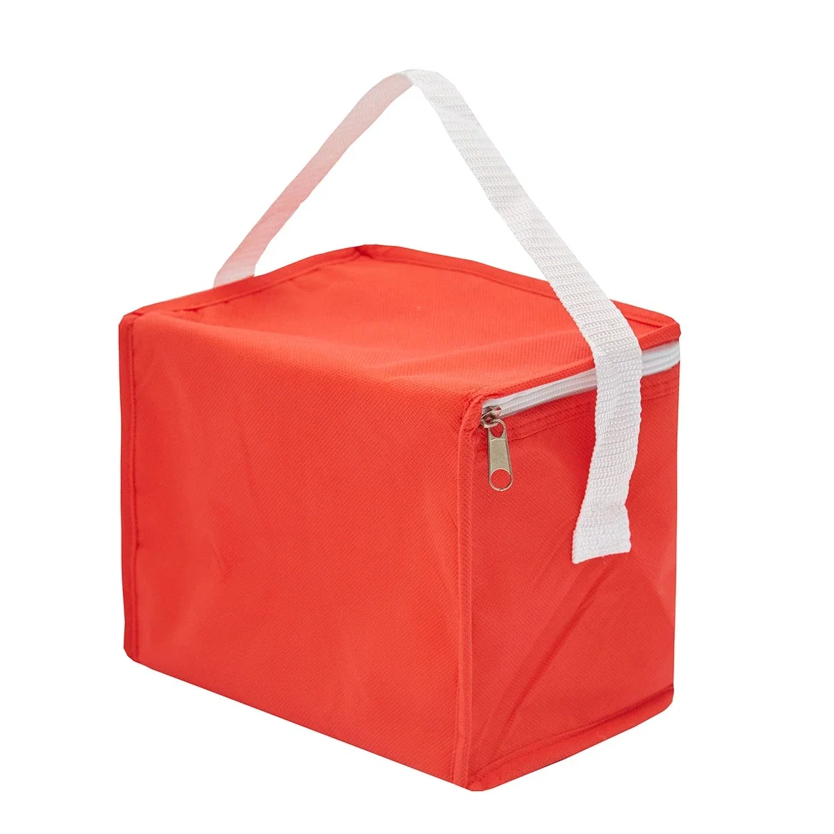 Cooler Mini 4,5 Lts friselina