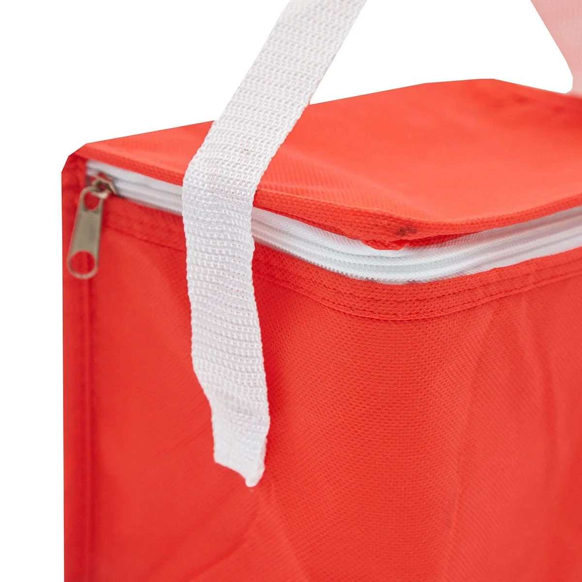 Cooler Mini 4,5 Lts friselina