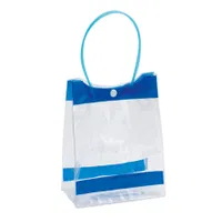 Bolsa De Pvc Clear PVC transparente 15x20x8 cm