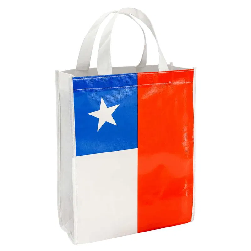 Bolsa Tnt Bandera Chilena Chica tela TNT 25x30x8