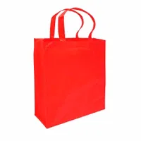 Bolsa Reutilizable Big tela TNT plástico