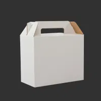Caja Autoarmable Con Asas, 25x20x12 Cm microcanal E