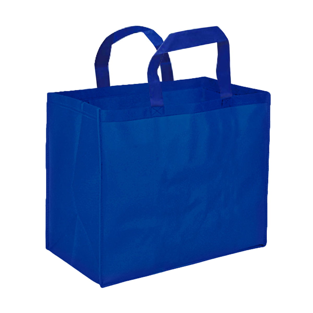 Bolsa Tnt Reutilizable G05 Tnt 80 grs
