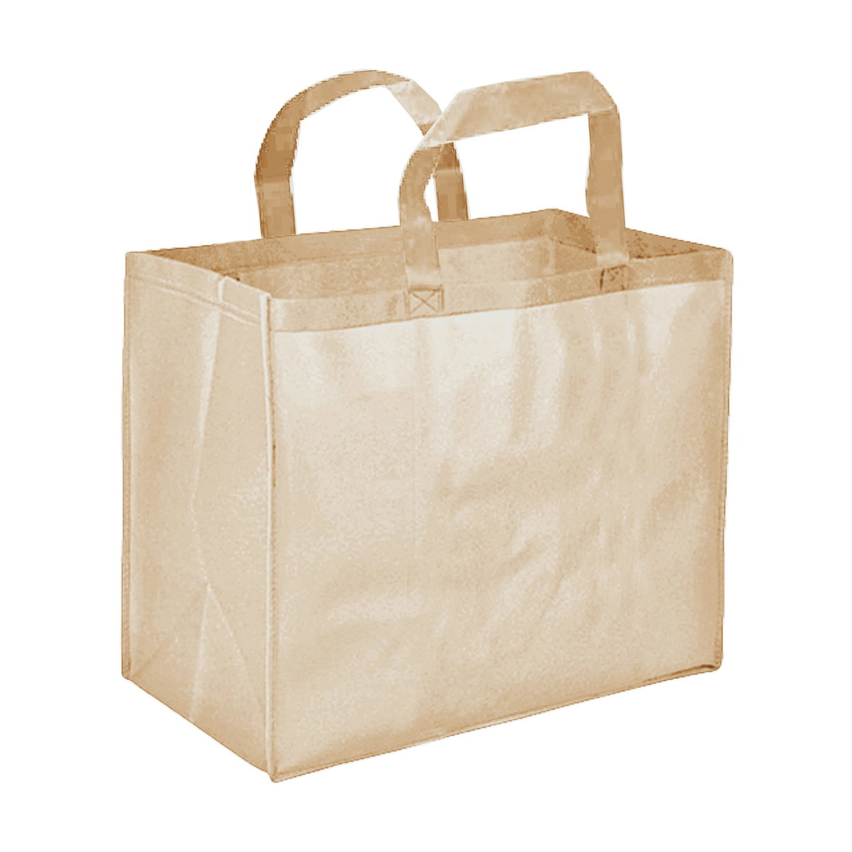 Bolsa Tnt Reutilizable G05 Tnt 80 grs
