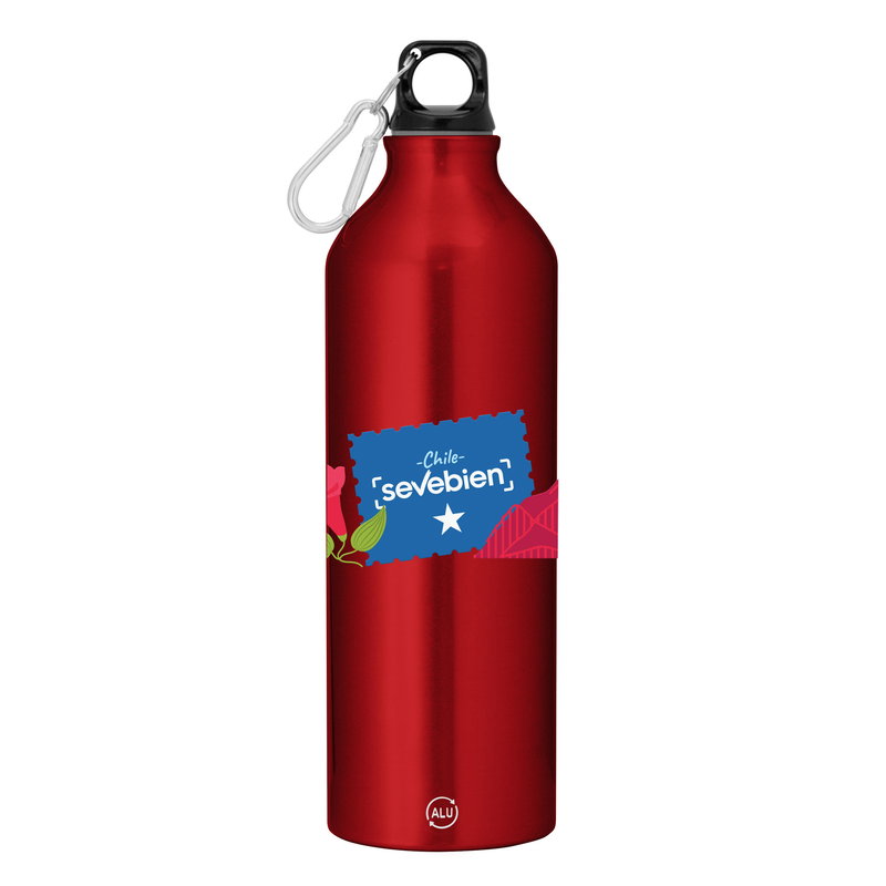 Botella Rex Ii 750 ml aluminio