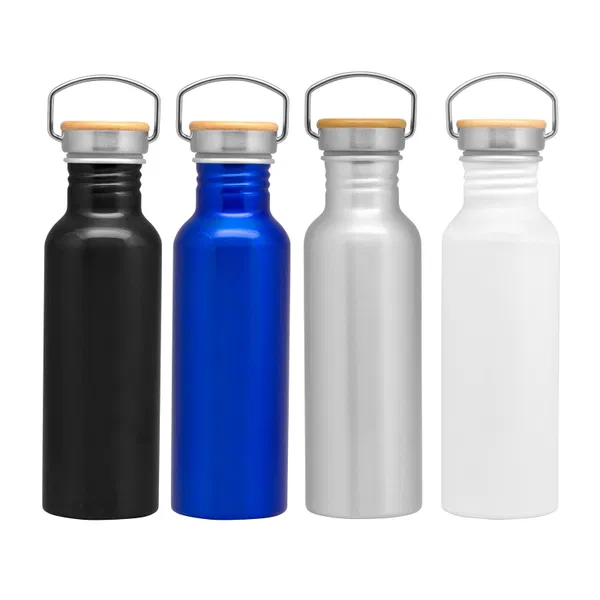 Botella Armin Ii 750 ml aluminio Botella Armin Ii 750 ml aluminio personalizado con logo empresa - Botellas, Tazas y Termos corporativo Chile